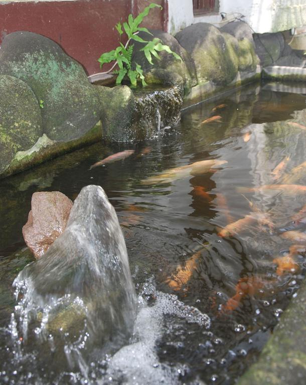 Bulan Bali Homestay Ubud Kültér fotó