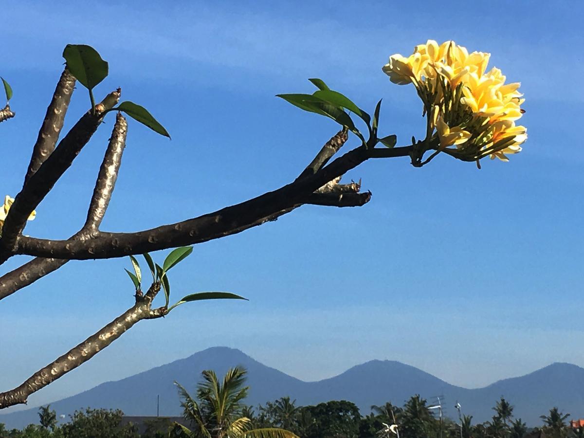 Bulan Bali Homestay Ubud Kültér fotó